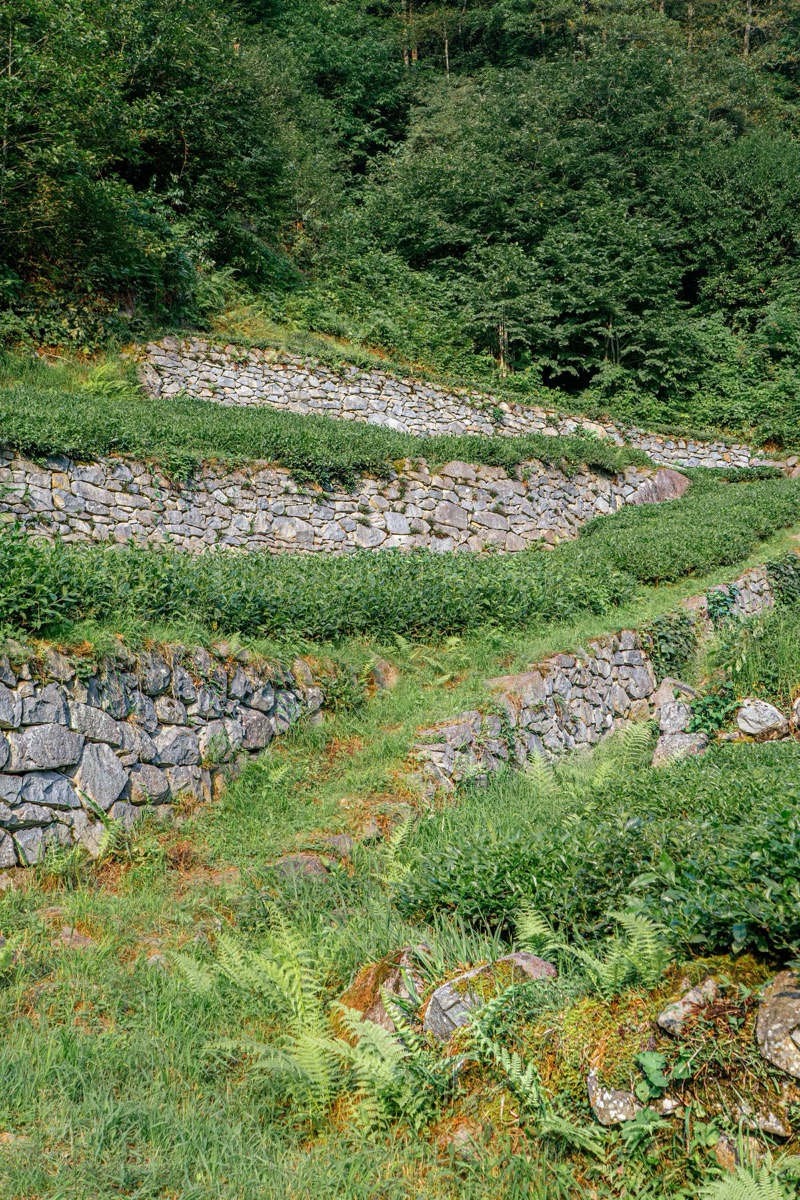 Retaining Walls & Grading by GreenPath Landscaping